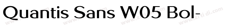 Quantis Sans W05 Bol字体转换